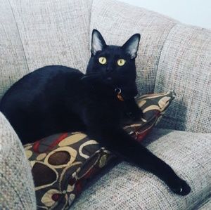 Meet your Posher, Brianna